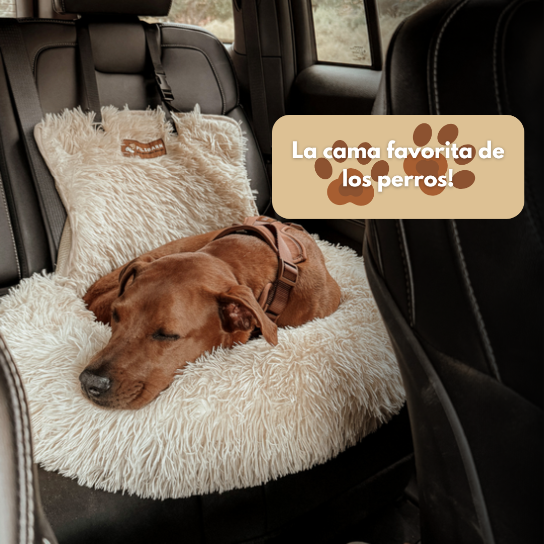 Cama de coche perruna 🐶