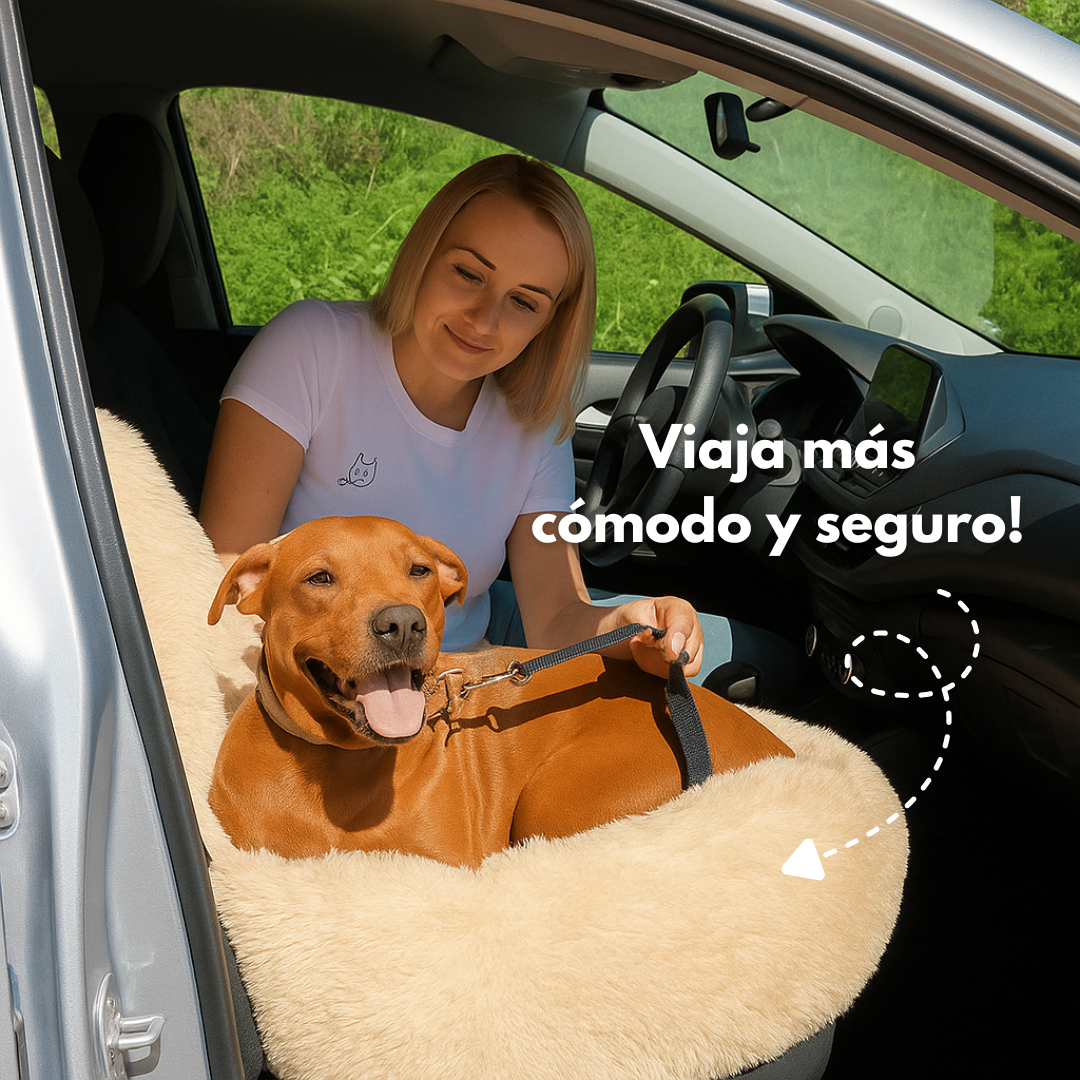 Cama de coche perruna 🐶