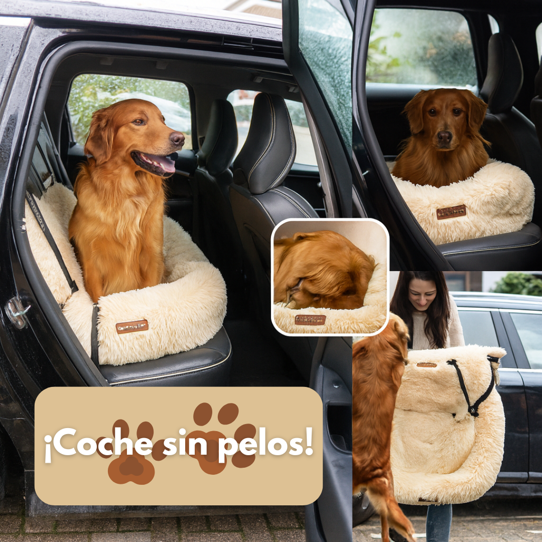 Cama de coche perruna 🐶