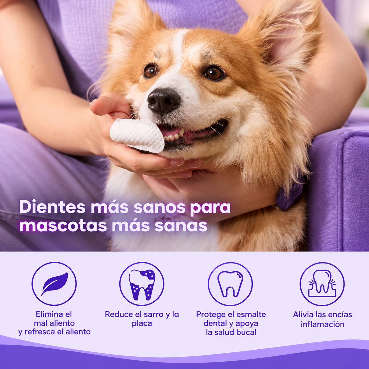 Toallitas dentales para mascotas