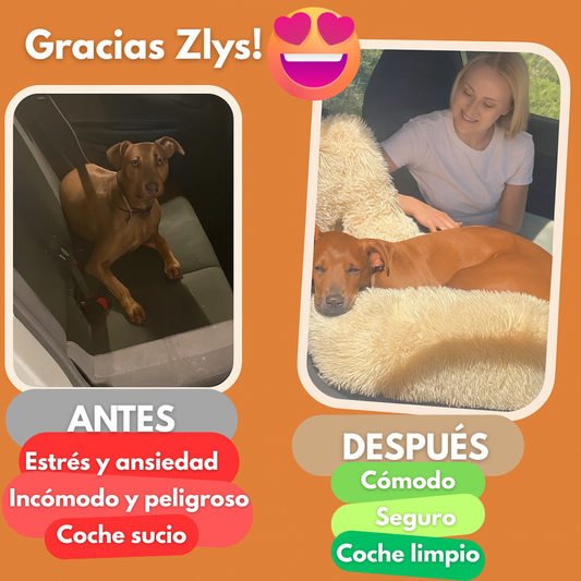 Cama de coche perruna 🐶