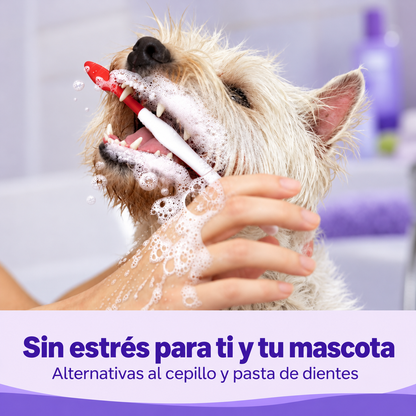 Toallitas dentales para mascotas