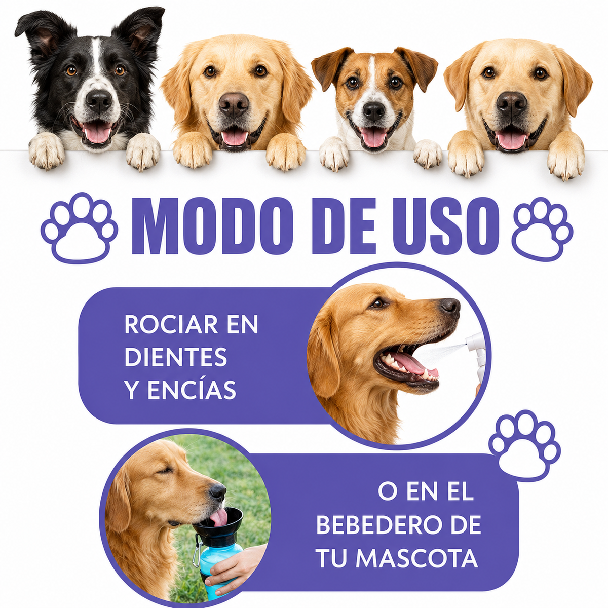Spray Dental Mascotas