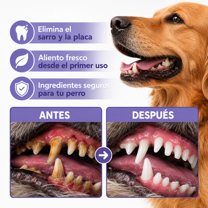Spray Dental Mascotas