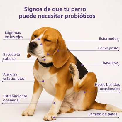 Probiótico para perros