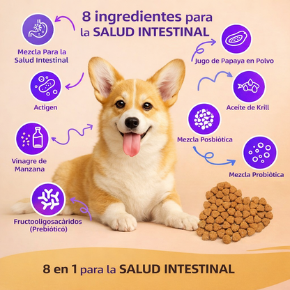 Probiótico para perros