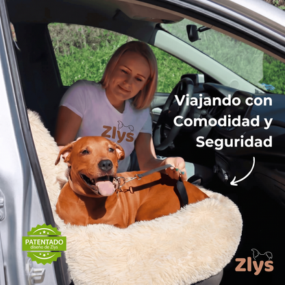 Cama de coche perruna 🐶